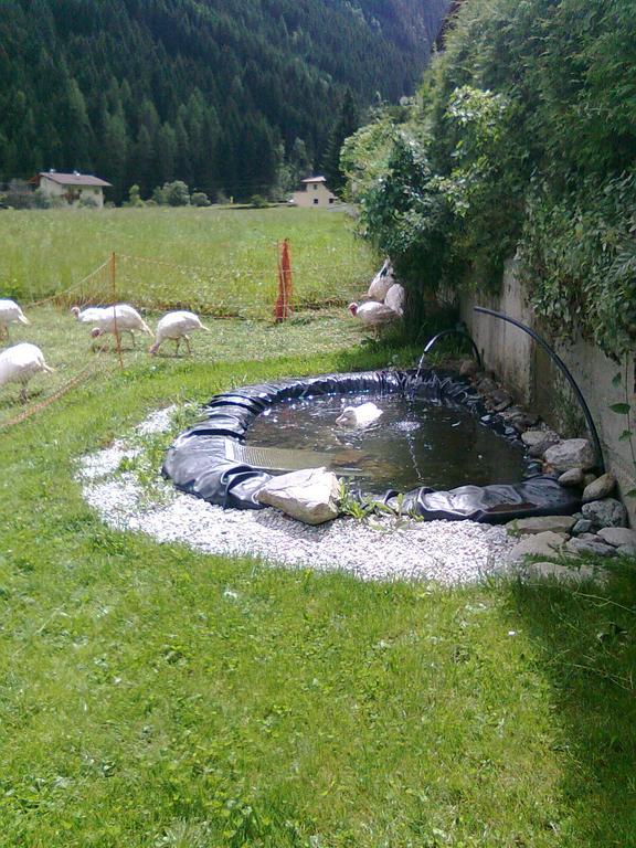 Luenerhof Landhaus Neustift im Stubaital